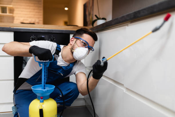 Best Pest Control Near Me  in Ak Chin Village, AZ