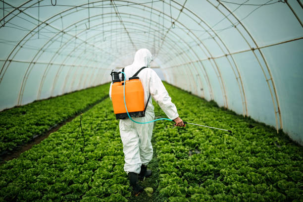 Best Affordable Pest Control Services  in Ak Chin Village, AZ