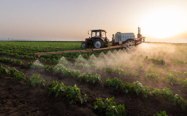 Professional Pest Control in Ak Chin Village, AZ